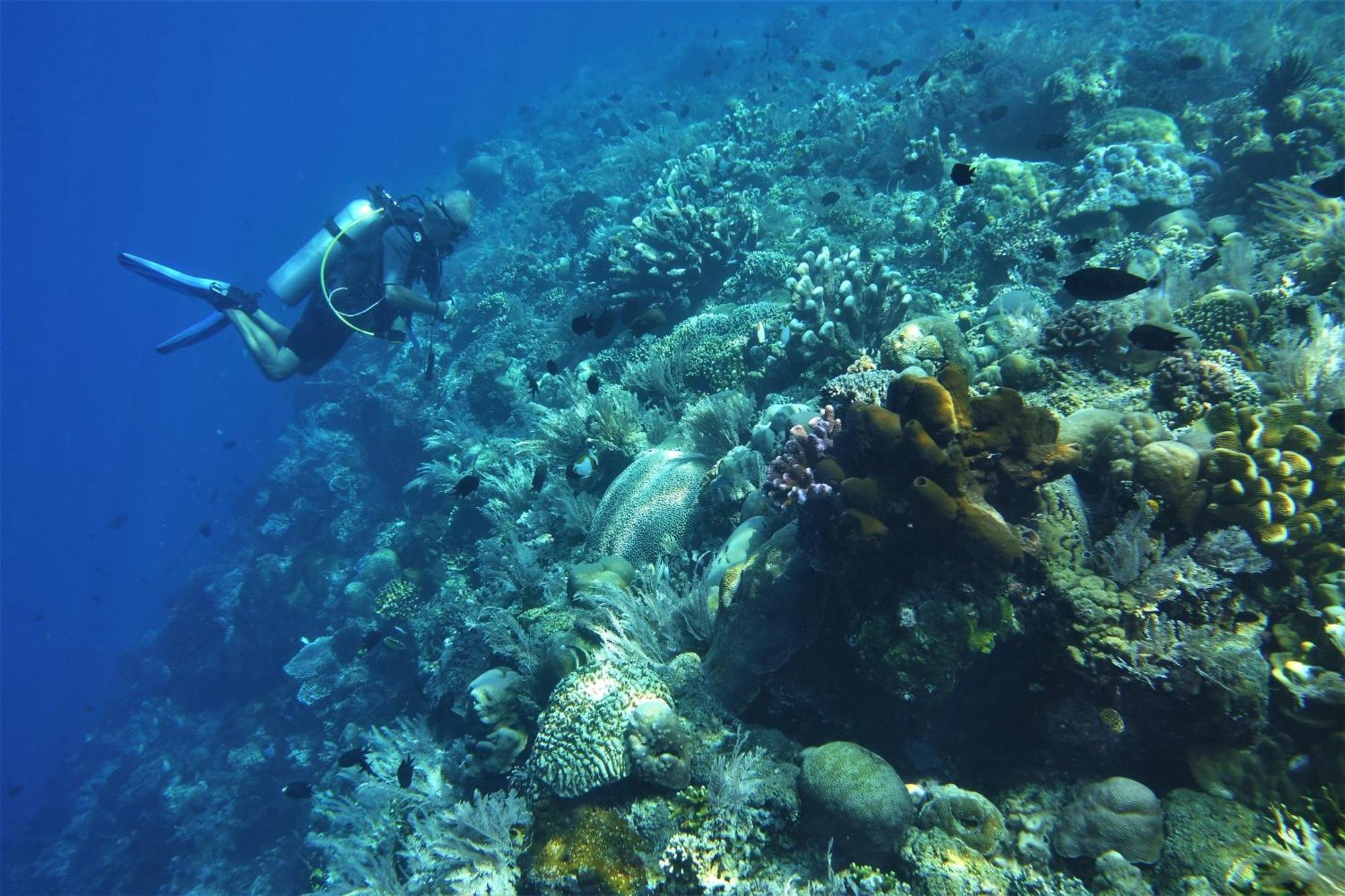 Bunaken Sea Garden Resort Eksteriør billede